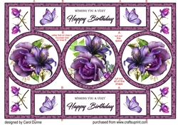 Trifold Shutter Purple rose BD