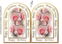 ASC Pink roses