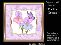 SC Pretty Irises