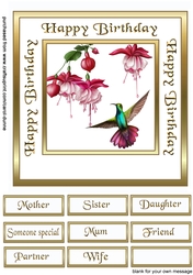 GF Hummingbird