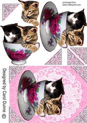 Kittens in a Cup