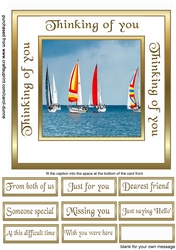 SC Sailing Race