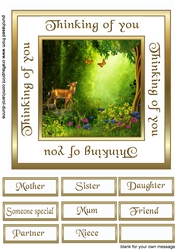 SC Deer woods
