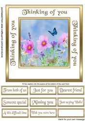 SC Wildflowers