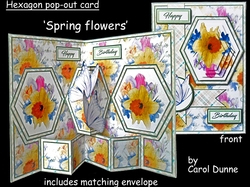 Hex Spring flowers