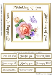 Sc Spring roses
