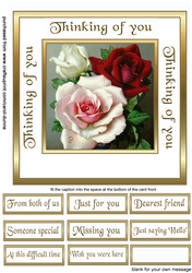 Sc Roses
