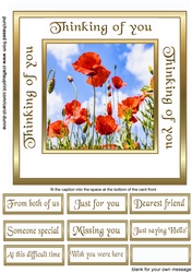 Sc Poppies