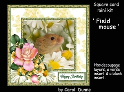 SC Field mouse
