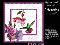 SC Hummingbird