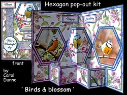 Hex Birds & blossoms
