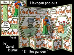 Hexagon In the garden (male)