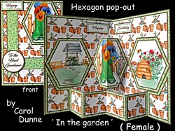 Hexagon In the garden (female)