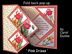 FBPS Pink Irises