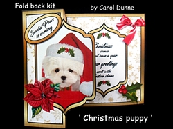 FB Christmas Puppy