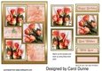 TS Peach roses