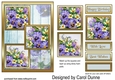 TS Pansies & primroses