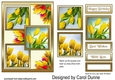 TS Yellow tulips