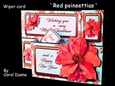 Wiper Red poinsettias
