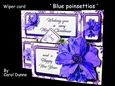 Wiper Blue poinsettias