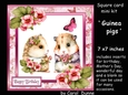 SC Guinea pigs