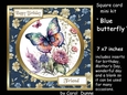 SC Blue butterfly