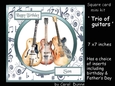 SC Trio of guitars