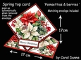 Spring top Poinsettias & berries
