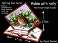 Spring top Robin with holly