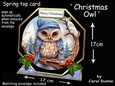Octagon spring top Christmas owl