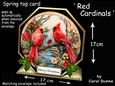 Octagon spring top Red Cardinals