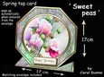 Octagon spring top Sweet peas