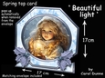 Octagon spring top Beautiful light