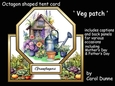 Octagon tent Veg Patch