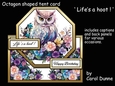 Octagon tent Lifes a hoot