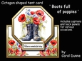 Octagon tent Boots full of poppies