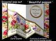 Diagonal pop-out Beautiful poppies