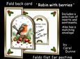 FB Robin and berries