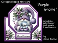 Octagon tent Purple gnome