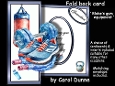 FBG Blokes gym equipment