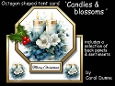 Octagon tent Candles & blossom