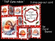 TSF Cute Robins