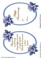 Anniversary Insert -blue