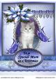 Kitten, Butterflies and Poinsettias