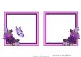 Purple Roses and Butterfly Insert