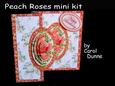 Mini Kit Peach Roses