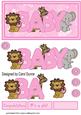 Baby Girl Dl Card