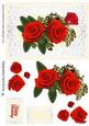 Red Roses, Gypsophilia and Lace