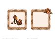Brown Shoe Insert Blank