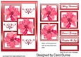 Three squares Red poinsettias